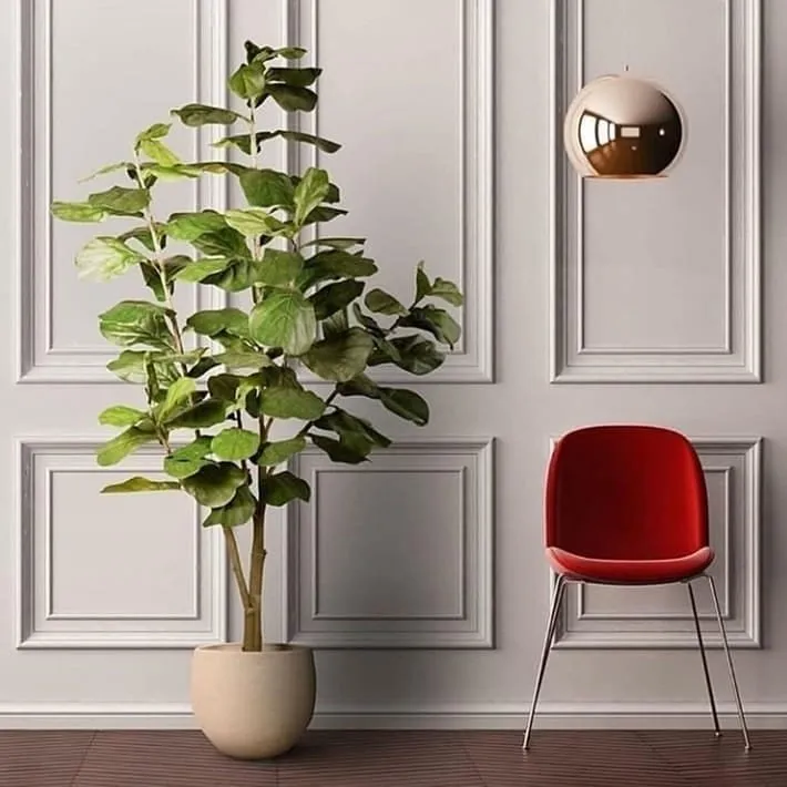 معلم فوم جدران, براويز فوم, بانوهات  في جدة 